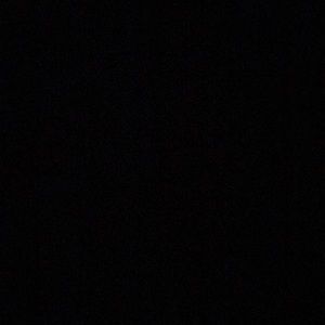 Meet your Posher, Sophia